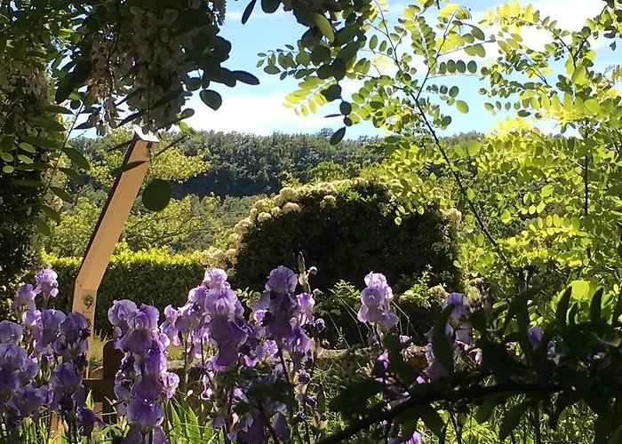 Les Chenes 酒店 锡斯特龙