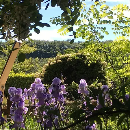 Les Chênes Hotel Sisteron